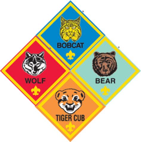 Download High Quality Boy Scouts Logo Tiger Transparent Png Images