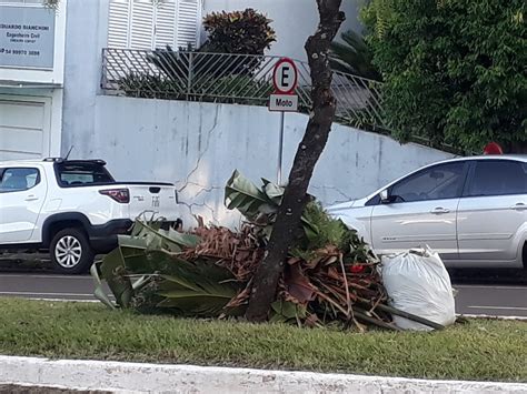 R Dio Sarandi Roteiro De Recolhimento De Galhos E Restos De Podas