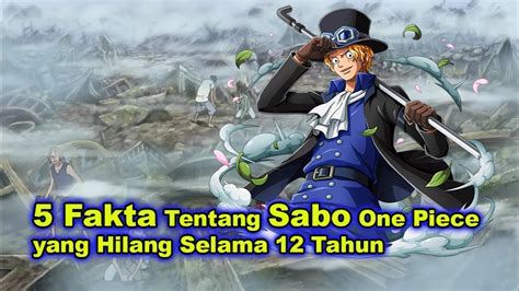 Fakta Tentang Sabo One Piece Yang Hilang Selama Tahun Onepiece