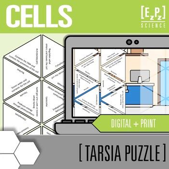 Cells Vocabulary Activity Digital And Print Science Tarsia Puzzles