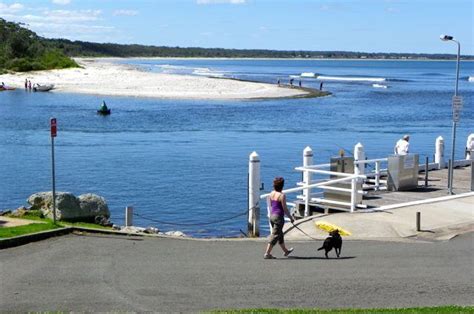 dog friendly beaches huskisson, pet friendly Jervis Bay