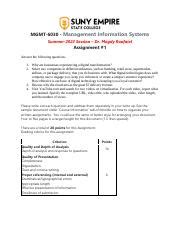 Assignment Pdf Mgmt Management Information Systems Summer