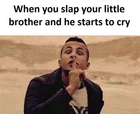 30 Funny Brother Memes To Troll Your Sibling With - SayingImages.com