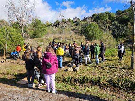 Alumnos De Torrelodones Colaboran Con Medio Ambiente En La Plantaci N