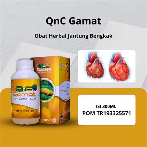 Jual Qnc Gamat Obat Jantung Bengkak Kardiomegali Sesak Nafas Edema