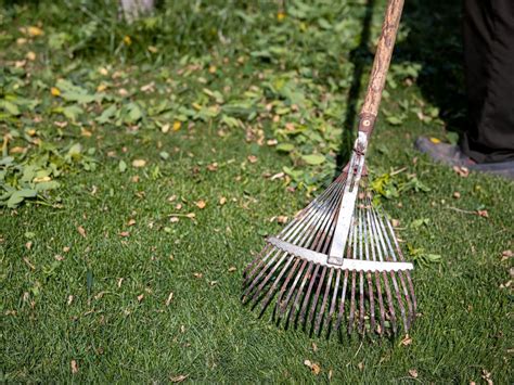 How To Use A Tiller To Remove Weeds Step By Step Guide Urban Farmers