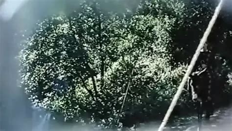 Im Fieber Der Lust Free Vintage Porn Xhamster