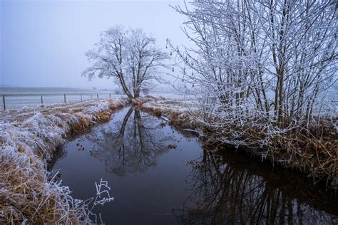 Free Images Landscape Tree Nature Outdoor Branch Snow Cold