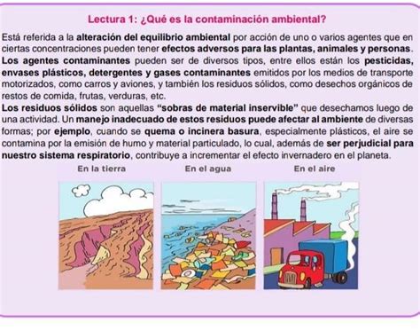 Por qué crees que el ser humano contamina el ambiente A partir de tu