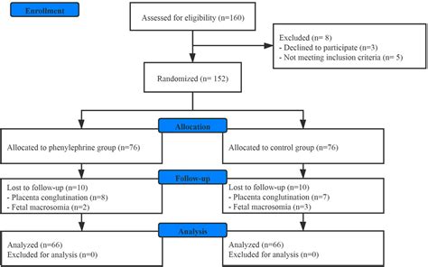 Frontiers Prophylactic Phenylephrine Increases The Dose Requirement Of Oxytocin To Treat