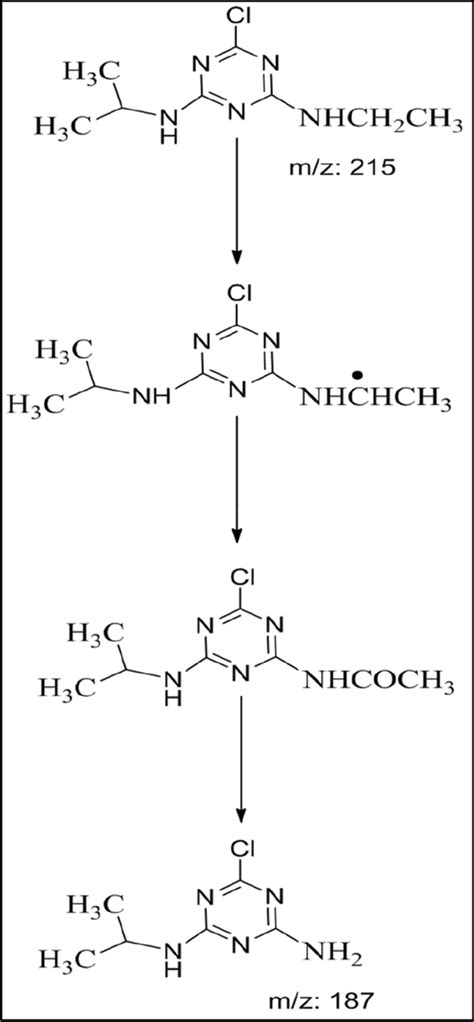 Plausible Degradation Pathway Of Atrazine Download Scientific Diagram