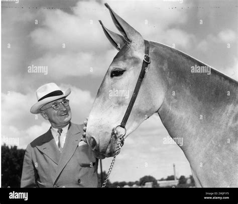 August 22, 1955. Harry S Truman pictured here with three-year-old Susie ...