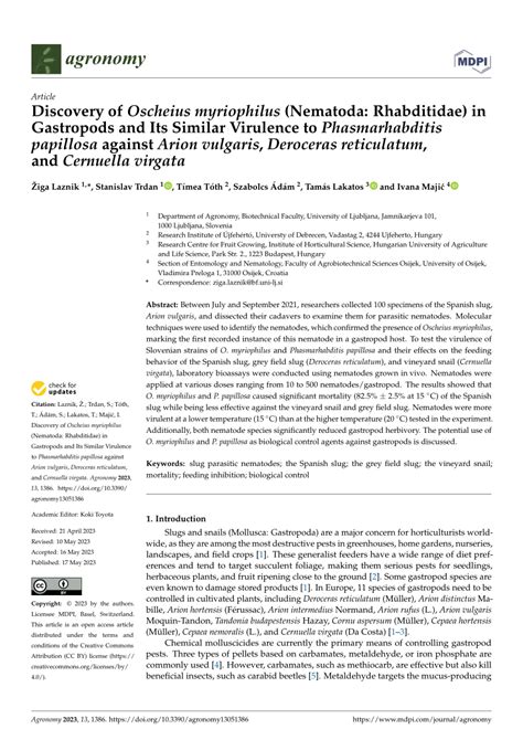 PDF Discovery Of Oscheius Myriophilus Nematoda Rhabditidae In