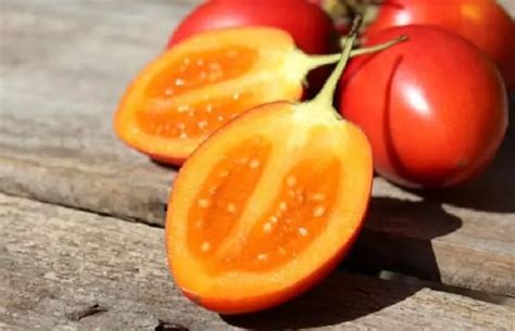 Frutas De La Costa Sierra Y Oriente Del Ecuador Elyex