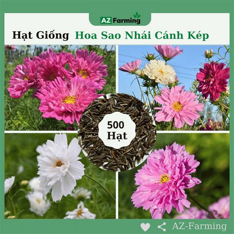 Hạt Giống Hoa Sao Nhái Cánh Kép Gói 500 Hạt Az Farming Shopee