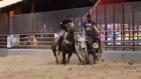 Vaquejada Ao Vivo Vaquejada Parque E Haras Cavunza Ranch Cicero