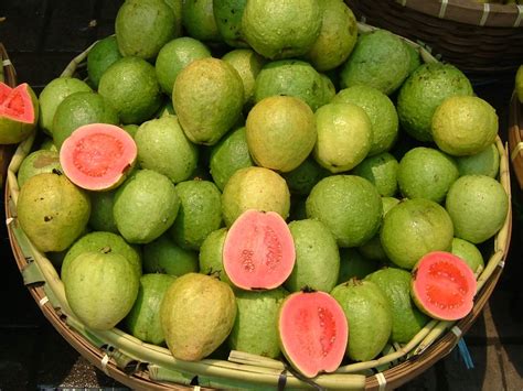 Pinoycitys Fruits Vital Nutrients Guava Vital Nutrients And