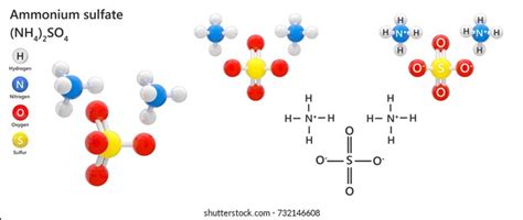 Ammonium Sulfate Formula Nh42so4 Inorganic Salt Stock Illustration 732146608 Shutterstock