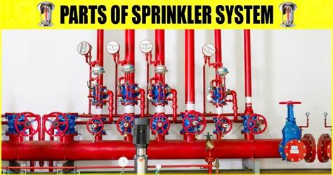 10 Parts of Sprinkler System [Complete Guide] - Engineering Learn