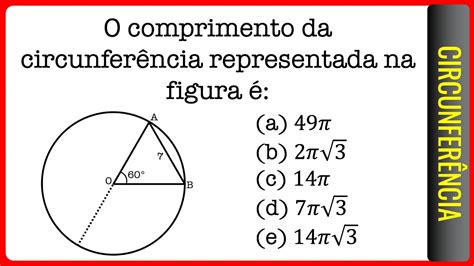 Elementos Da Circunferência Exercícios Braincp