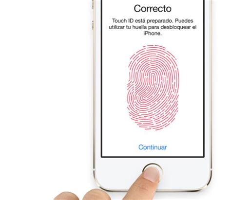C Mo Funciona El Lector De Huella Dactilar Del Iphone S