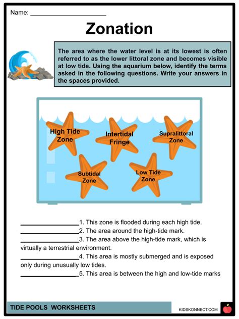 Tide Pools Worksheets Facts Zones Creatures Tides