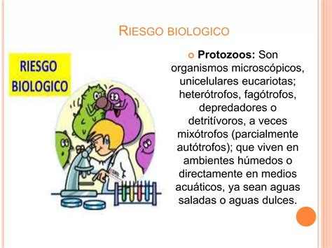 Glosario De Riesgos Ppt