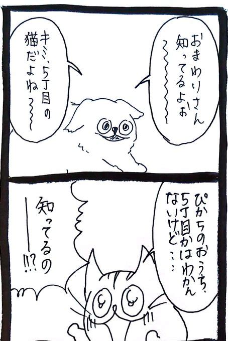 2023年08月25日のツイート うさぎのみみちゃん さんのマンガ ツイコミ仮