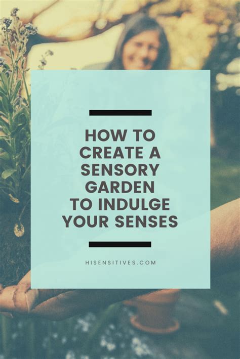 How To Create A Sensory Garden To Indulge Your Senses