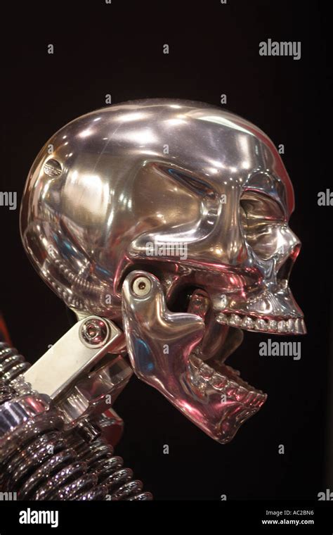 Silver Skull On Customised Harley Davidson Motorcycle Vertical Side