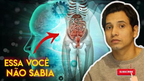 Curiosidades Sobre O Corpo Humano Que Voc N O Sabia Youtube