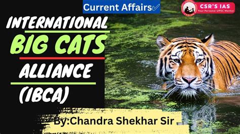 International Big Cats Alliance I R Current Affairs UPSC