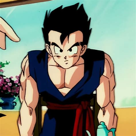 In Gohan Dragon Ball Z Dragon Ball