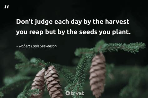 38 Seed Quotes To Inspire Growth Patience And Resilience 2025
