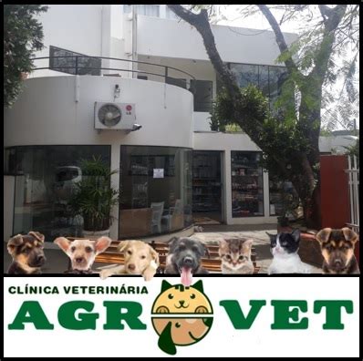 Equipe Agrovet Agrovet Clínica Veterinária