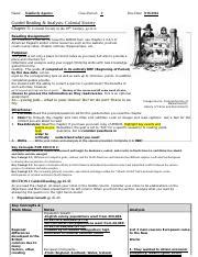 Guided Reading Amsco Chapter Reading Guide Apush Doc Name