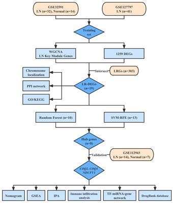 Frontiers Comprehensive Analysis Of Lactate Related Gene Profiles And