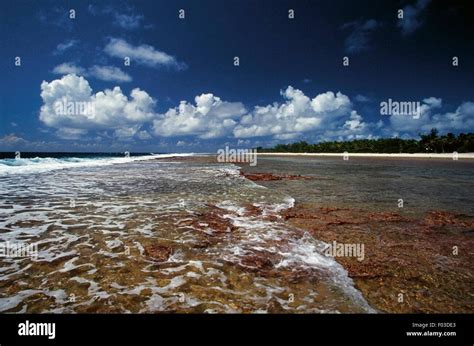 La Marea Baja El Atol N De Rangiroa Archipi Lago Tuamotu En La