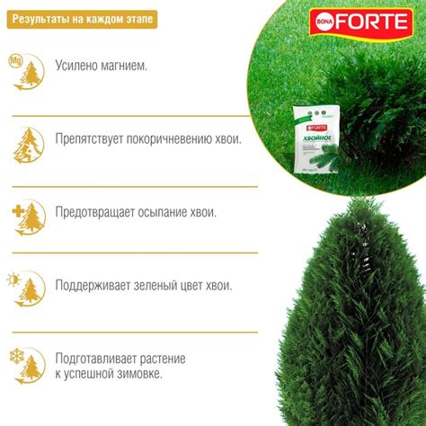 Купить Удобрение БОНА ФОРТЕ для хвойных 2кг недорого по цене 449руб ...