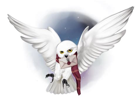 Hedwig Wallpapers - Top Free Hedwig Backgrounds - WallpaperAccess