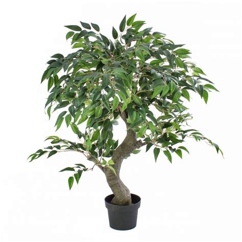 Acheter Des Ficus Exotica Artificiel Yuma Tronc Artificiel Vert Cm