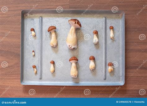 Psilocybin Magic Mushrooms Royalty Free Stock Photo