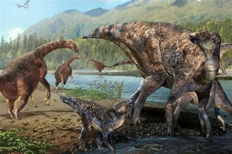 Fossils suggest Alaska served as superhighway for migrating dinosaurs ...