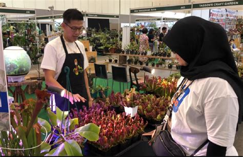 Pameran Floii Genjot Umkm Tanaman Hias Go International Okezone