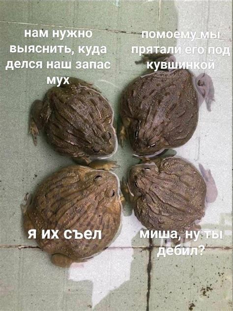 Пин от пользователя ʚ༅₱ђα⋒ŧΘጠỂŧŧα༅ɞ *:·.･ﾟ･｡ на доске Тренинг ...