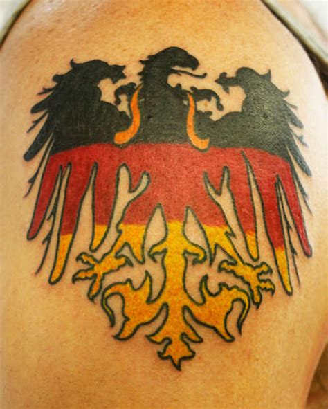 sillytarantula:german-eagle-german-eagle