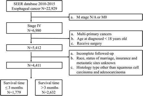 Se Esophageal Cancer Survival Rate By Age Infoupdate Org