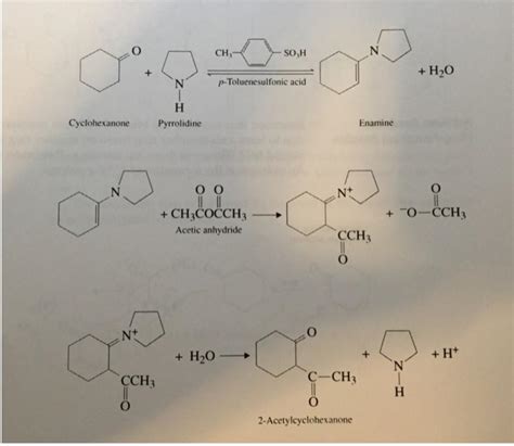 Solved Cyclohexanone Pyrrolidine Enamine Chegg