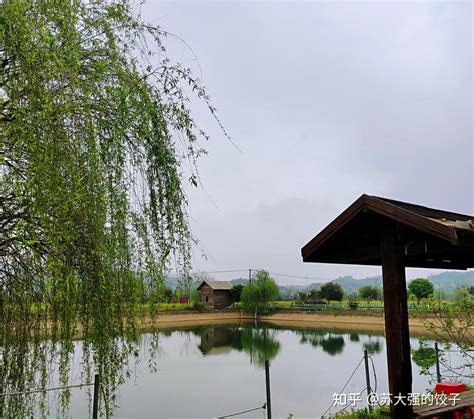 长沙农家乐一日游，农家乐旅游野炊烧烤趣味团建好去处 知乎