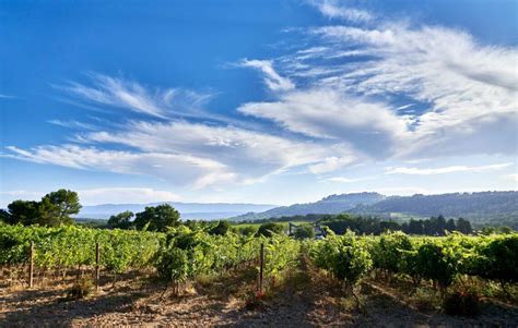 Coteaux D Aix En Provence Ch Teau La Coste Ros D Une Nuit Gayot